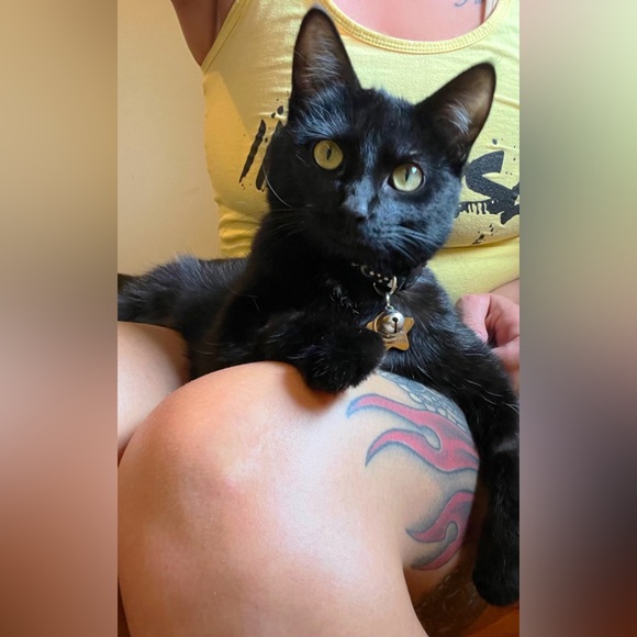 Meet your Posher, Brandi - Picture 2 of 6